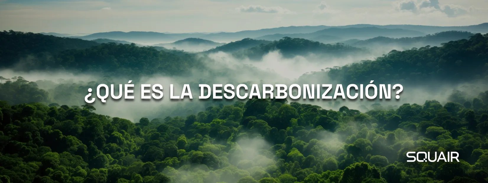 ¿Qué es la Descarbonización_ES
